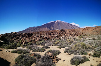 El Capicho-El Teide